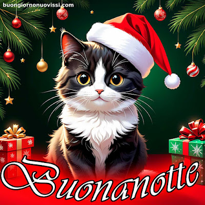 originale buonanotte pinterest nuovissimi