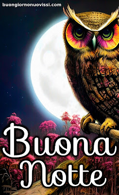 originale buonanotte pinterest nuovissimi originale buonanotte pinterest nuovissimi