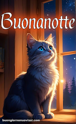 originale buonanotte pinterest nuovissimi