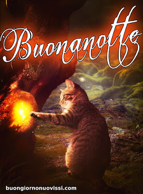 originale buonanotte pinterest nuovissimi