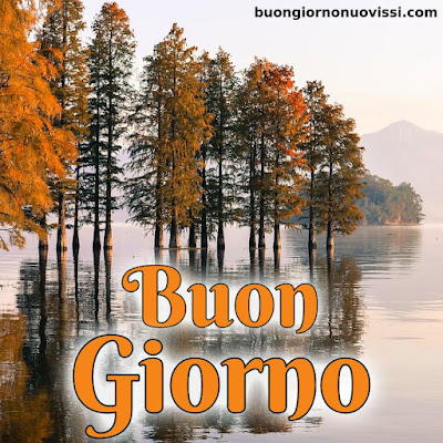 originali nuovissimo buongiorno immagini recenti