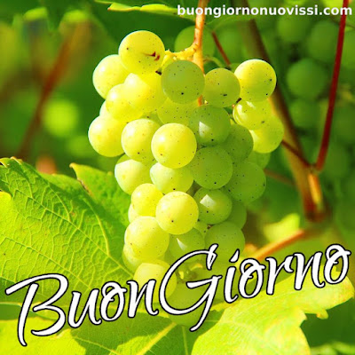 originali nuovissimo buongiorno immagini recenti