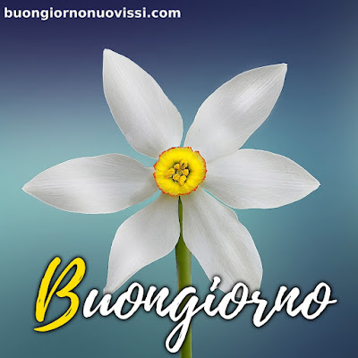 originali nuovissimo buongiorno immagini recenti