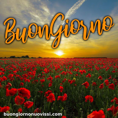 originali nuovissimo buongiorno immagini recenti