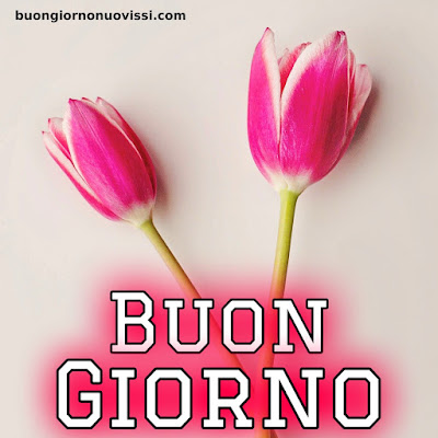 originali nuovissimo buongiorno immagini recenti