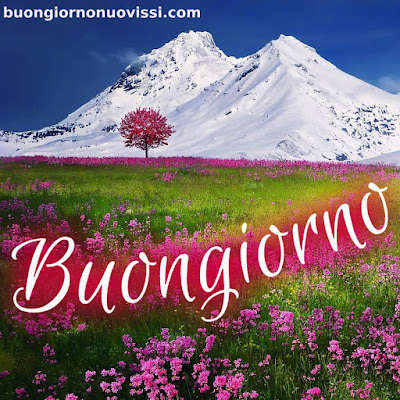 originali nuovissimo buongiorno immagini recenti