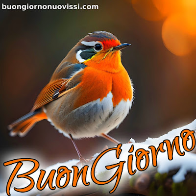 originali nuovissimo buongiorno immagini recenti