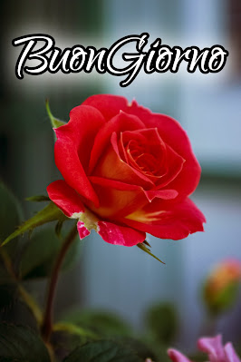 originali nuovissimo buongiorno immagini recenti