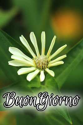 originali nuovissimo buongiorno immagini recenti