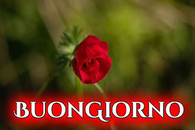 originali nuovissimo buongiorno immagini recenti