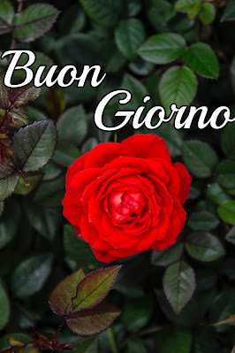 originali nuovissimo buongiorno immagini recenti