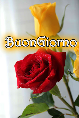 originali nuovissimo buongiorno immagini recenti