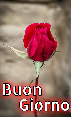 originali nuovissimo buongiorno immagini recenti