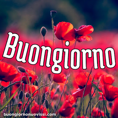 originali nuovissimo buongiorno immagini recentioriginali nuovissimo buongiorno immagini recentioriginali nuovissimo buongiorno immagini recentioriginali nuovissimo buongiorno immagini recenti
