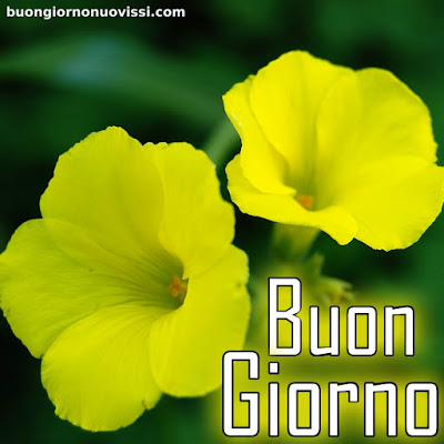 originali nuovissimo buongiorno immagini recenti