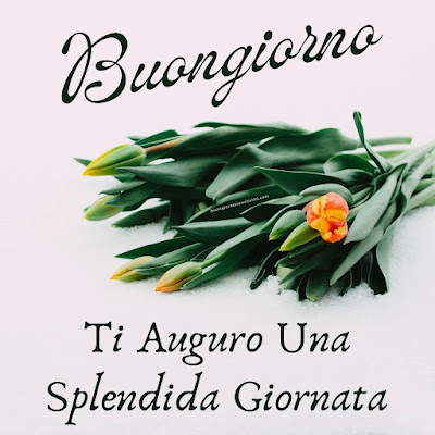 particolare nuovissime whatsapp buongiorno immagini recenti