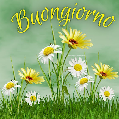 particolare nuovissime whatsapp buongiorno immagini recenti