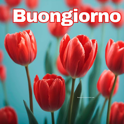 particolare nuovissime whatsapp buongiorno immagini recenti