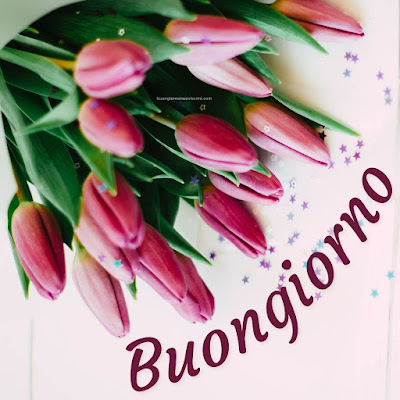 particolare nuovissime whatsapp buongiorno immagini recenti