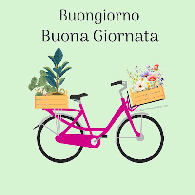 particolare nuovissime whatsapp