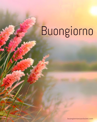 particolare nuovissime whatsapp