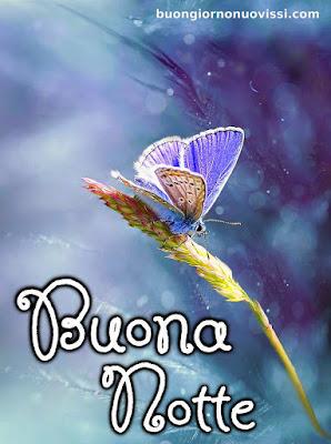 pietra bianca buonanotte originalissima pietra bianca buonanotte originalissima