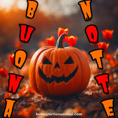 pietra bianca buonanotte originalissima pietra bianca buonanotte originalissima