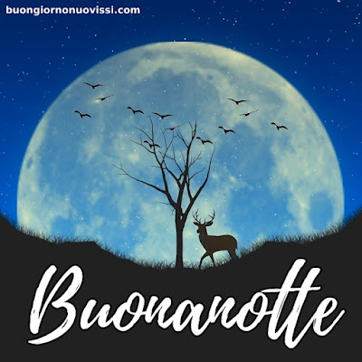 pietra bianca buonanotte originalissima pietra bianca buonanotte originalissima