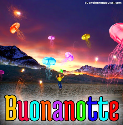 pietra bianca buonanotte originalissima pietra bianca buonanotte originalissima