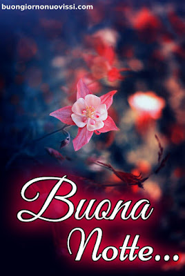 pietra bianca buonanotte originalissima pietra bianca buonanotte originalissima