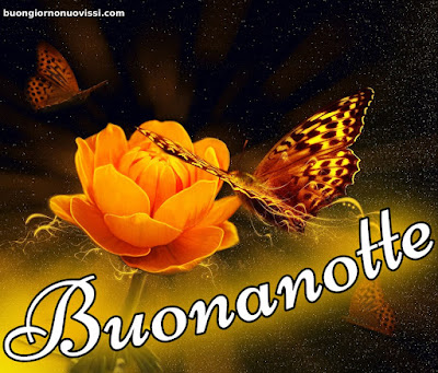 pietra bianca buonanotte originalissima pietra bianca buonanotte originalissima
