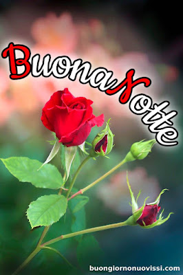 pietra bianca nuovissimo buonanotte immagini recenti pietra bianca nuovissimo buonanotte immagini recenti