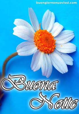 pietra bianca nuovissimo buonanotte immagini recenti pietra bianca nuovissimo buonanotte immagini recenti