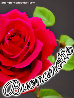 pietra bianca nuovissimo buonanotte immagini recenti pietra bianca nuovissimo buonanotte immagini recenti