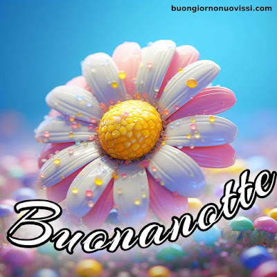 pietra bianca nuovissimo buonanotte immagini recenti pietra bianca nuovissimo buonanotte immagini recenti