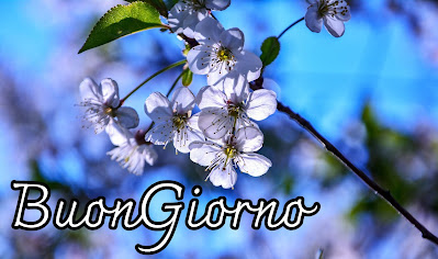 pinterest nuovissimo pinterest buongiorno immagini recenti