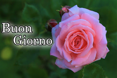pinterest nuovissimo pinterest buongiorno immagini recenti