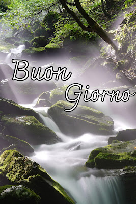 pinterest nuovissimo pinterest buongiorno immagini recenti
