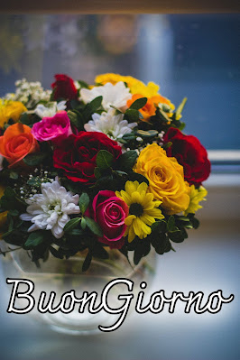 pinterest nuovissimo pinterest buongiorno immagini recenti