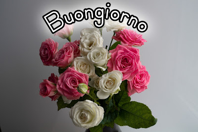 pinterest nuovissimo pinterest buongiorno immagini recenti