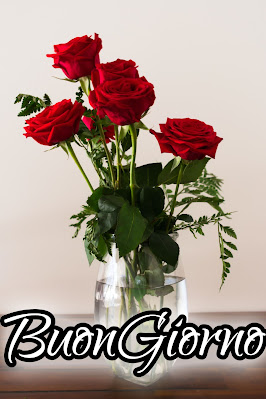 pinterest nuovissimo pinterest buongiorno immagini recenti
