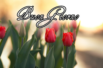 pinterest nuovissimo pinterest buongiorno immagini recenti