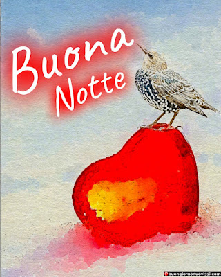 pietra rosa nuovissimo buonanotte immagini recenti gratis per whatsapp pietra rosa nuovissimo buonanotte immagini recenti gratis per whatsapp