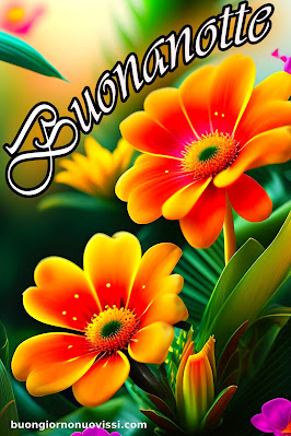 buona serata e buona notte immagini nuove buona serata e buona notte immagini nuove