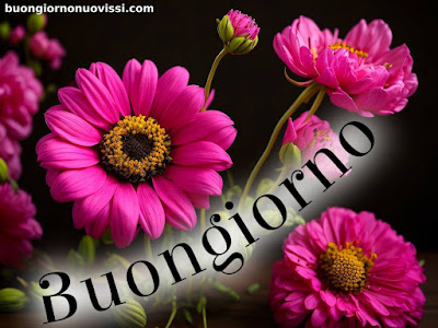 stupende nuovissimo buongiorno immagini recenti