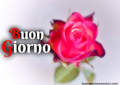 stupende nuovissimo buongiorno immagini recenti
