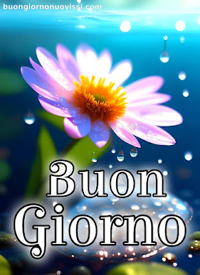 stupende nuovissimo buongiorno immagini recenti