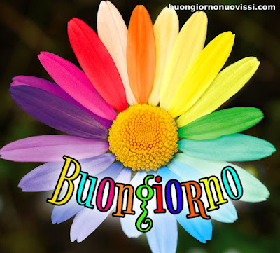 stupende nuovissimo buongiorno immagini recenti