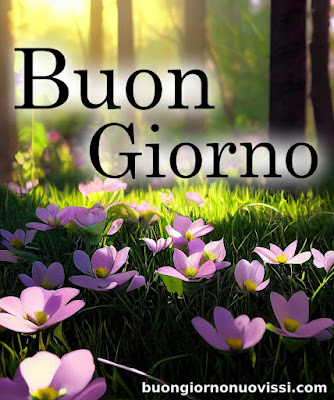 stupende nuovissimo buongiorno immagini recenti