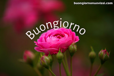 stupende nuovissimo buongiorno immagini recenti